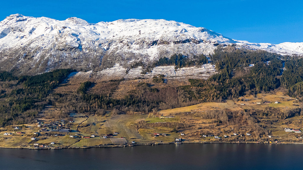 20250207-115107-DJI-20250207115107-0063-D-HDR.jpg