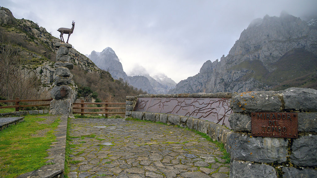 20250323-104321-DSC-2630.jpg