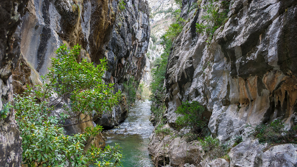 20250323-113140-ESP-0352-HDR.jpg