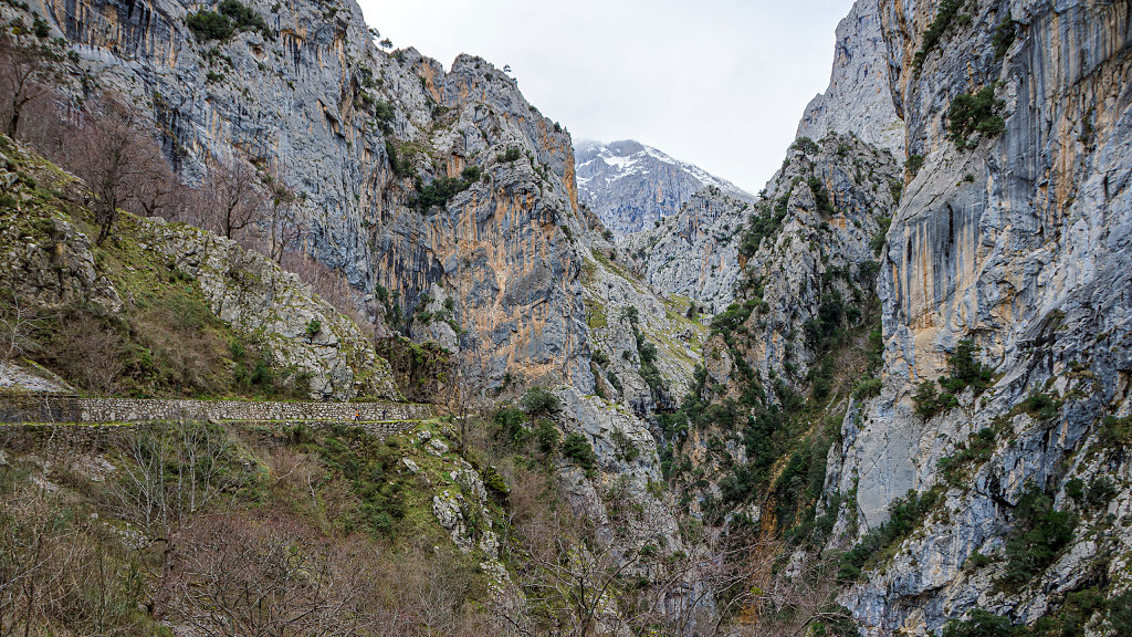 20250323-115949-ESP-0395-HDR.jpg