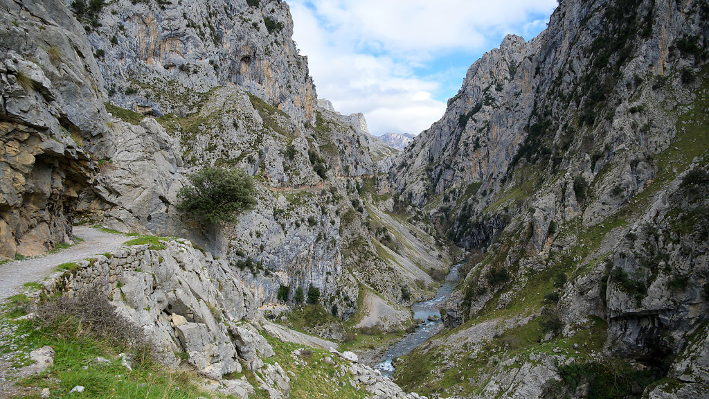 20250323-141710-DSC-2846.jpg