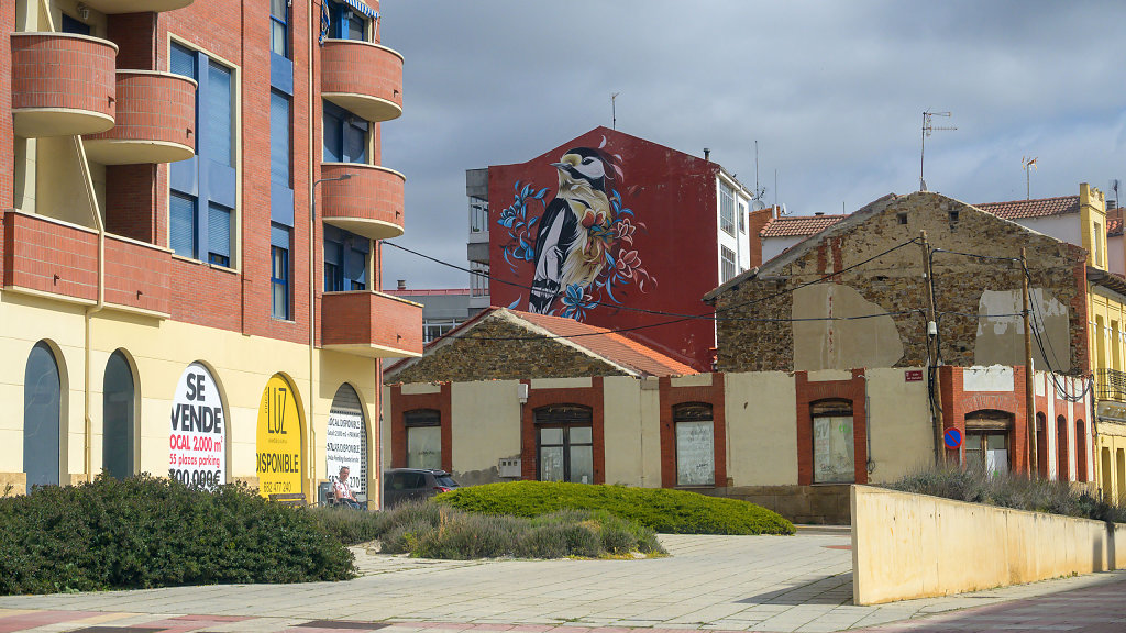 20250326-113520-DSC-3850.jpg