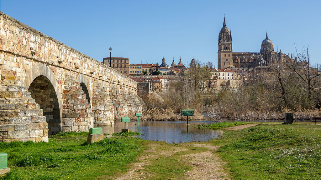 20250327-101351-ESP-1314-HDR.jpg