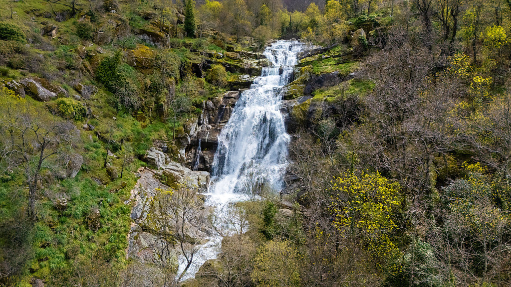 20250327-140854-DJI-20250327140854-0636-D-HDR.jpg