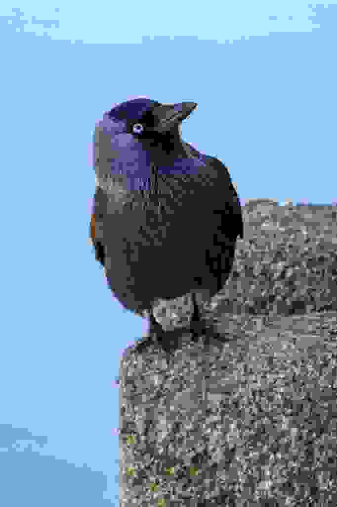 20250328-120427-ESP-1578-Verbessert-RR.jpg