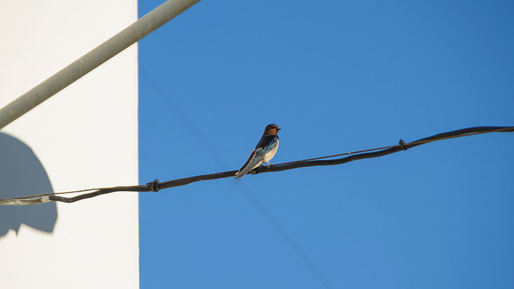 20250329-091100-ESP-1689-Verbessert-RR.jpg