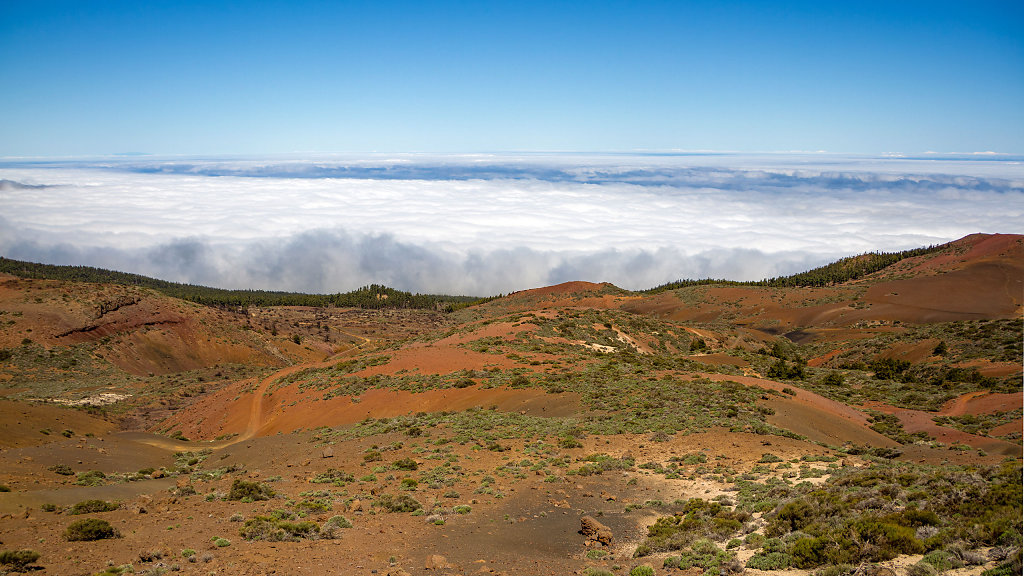 20250421122315-TFN-1235-HDR.jpg