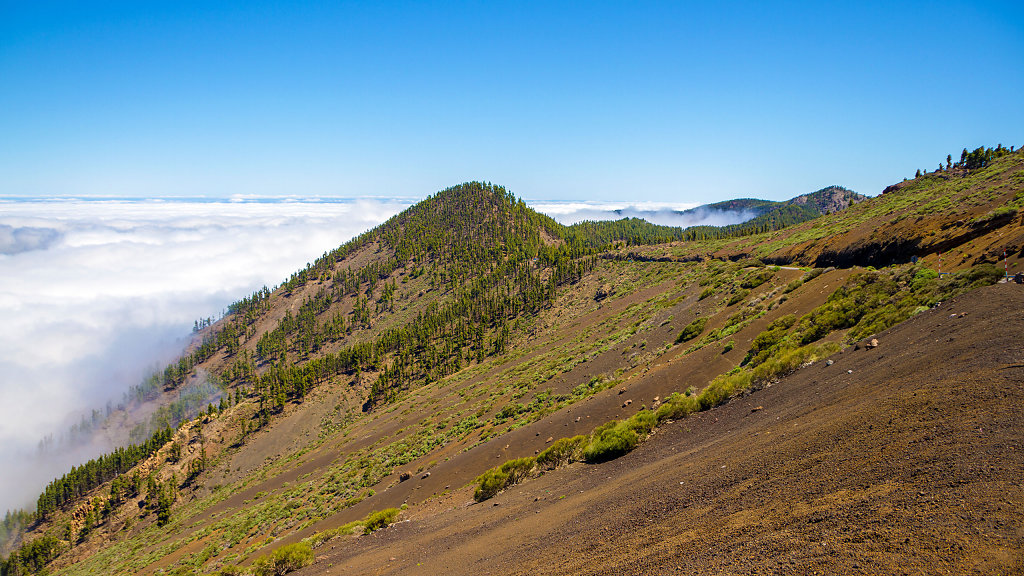 20250421123400-TFN-1250-HDR.jpg