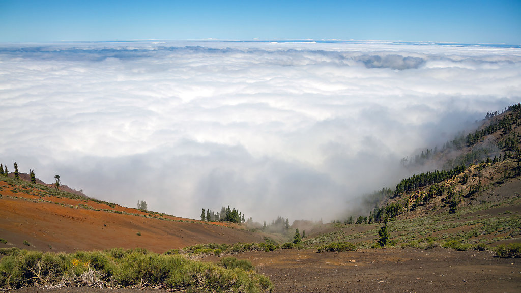20250421123404-TFN-1253-HDR.jpg