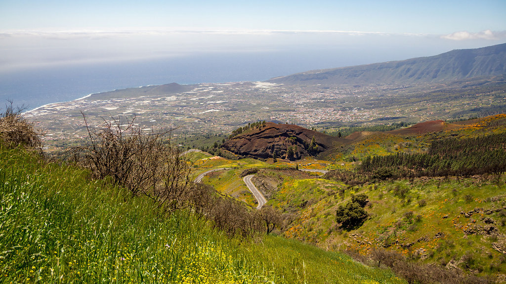 20250421125246-TFN-1256-HDR.jpg