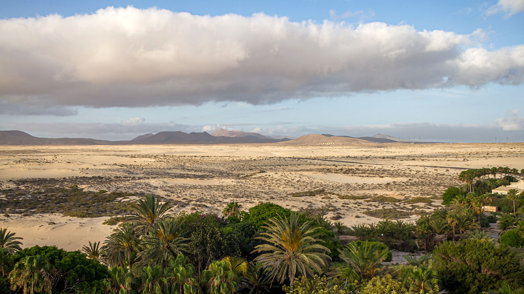20250424082034-TFN-1812-HDR.jpg