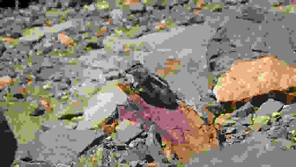 20250425123805-TFN-2059.jpg
