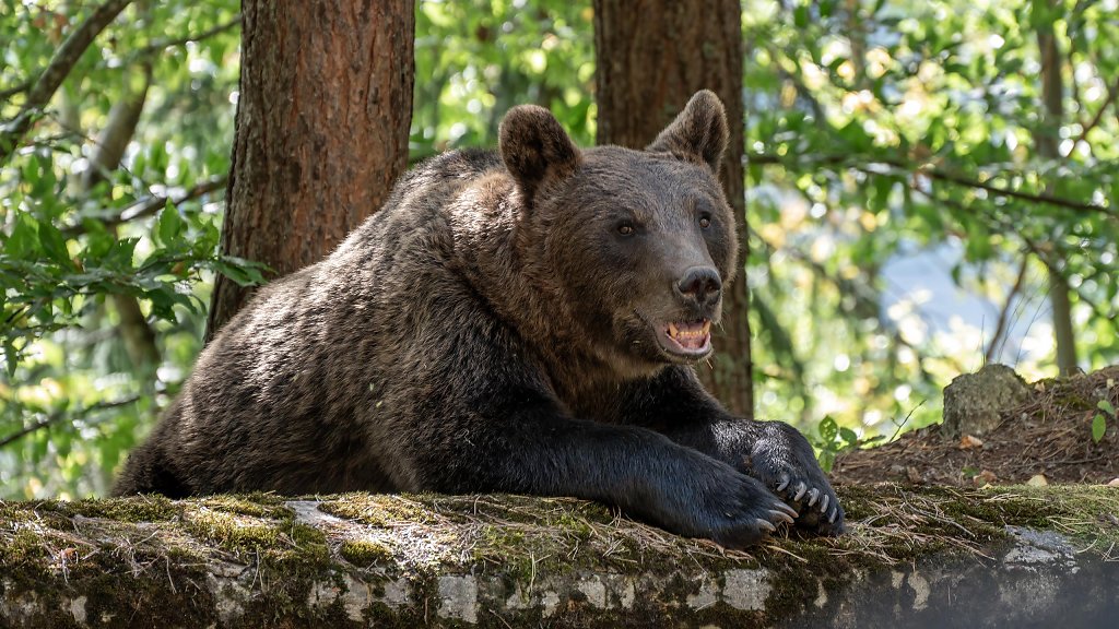 27.08.2025: Romania // România